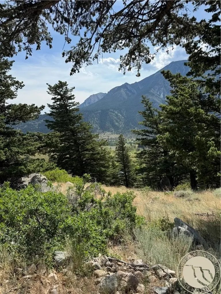 54 Eagle Ridge Nye MT 59061