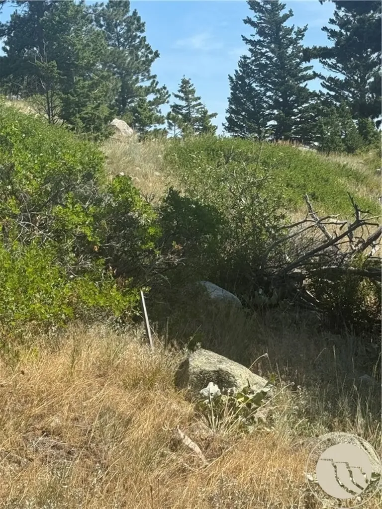 54 Eagle Ridge Nye MT 59061