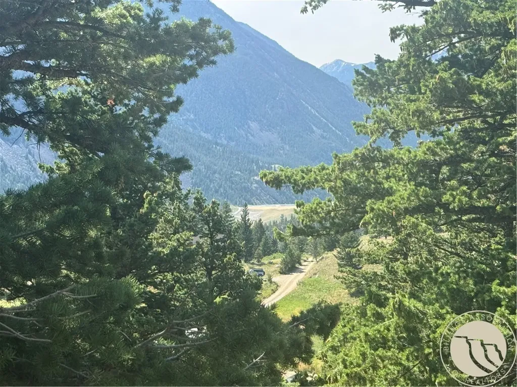 54 Eagle Ridge Nye MT 59061