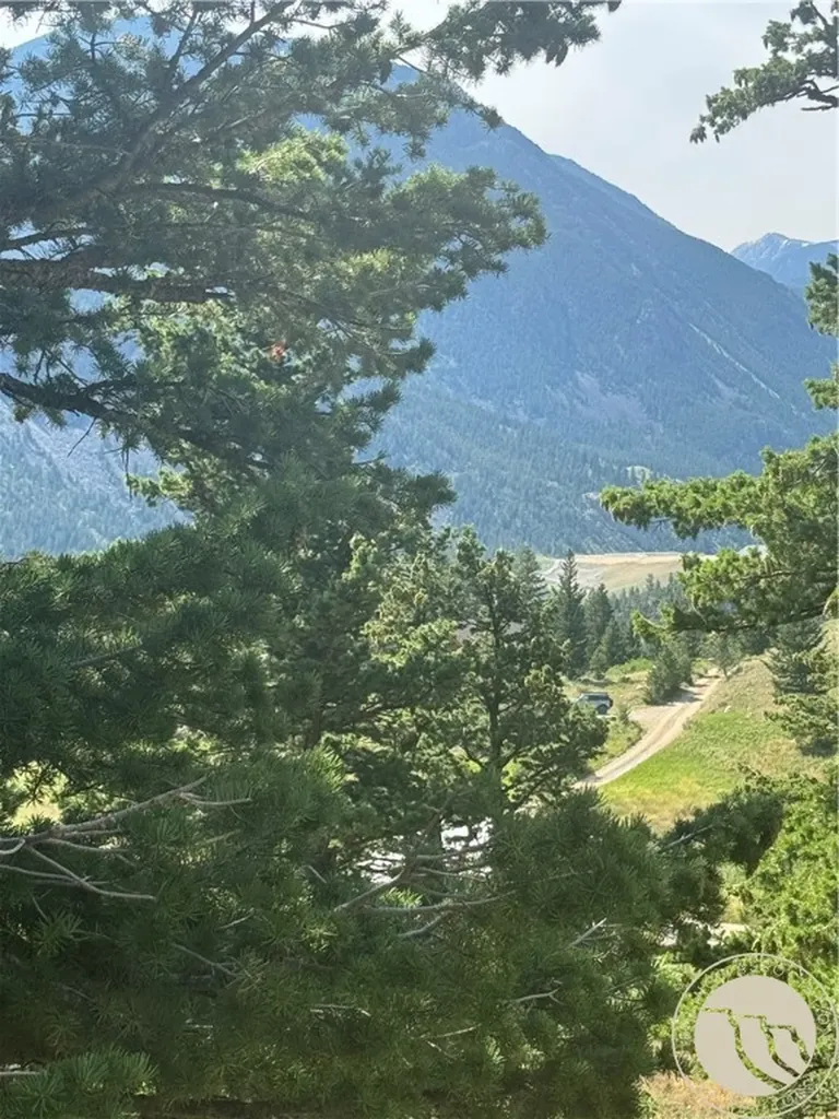 54 Eagle Ridge Nye MT 59061