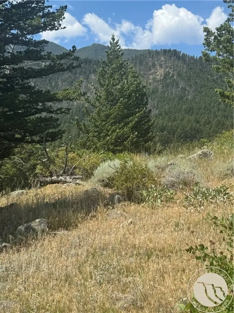 54 Eagle Ridge Nye MT 59061