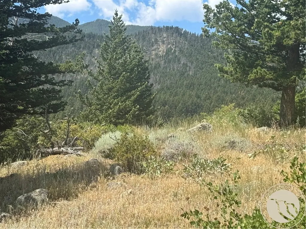 54 Eagle Ridge Nye MT 59061