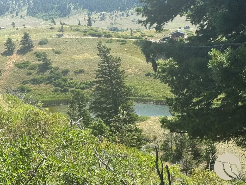 54 Eagle Ridge Nye MT 59061