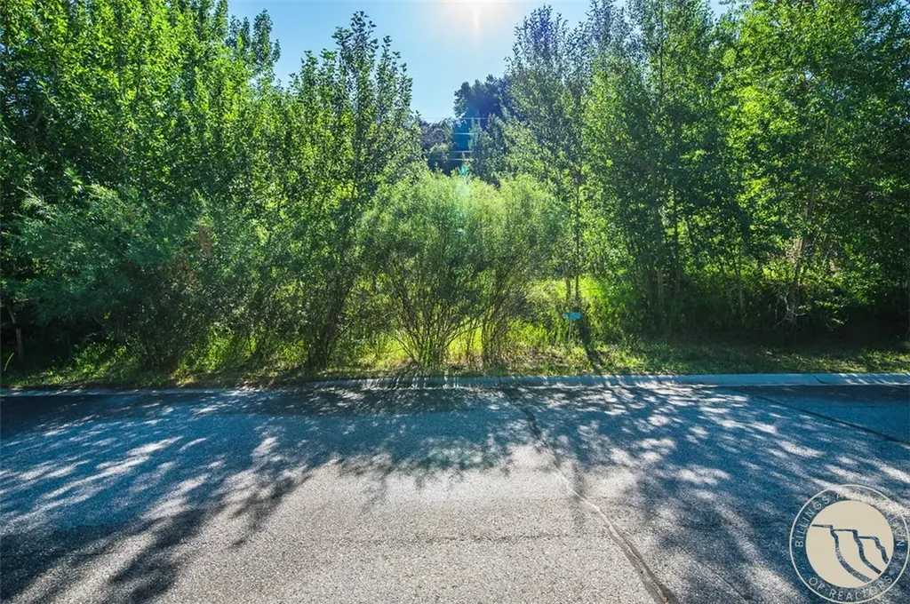 216 Kainu Avenue Red Lodge MT 59068
