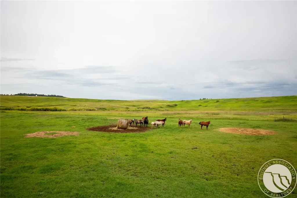 6502 Quarter Horse Lane Lewistown MT 59457