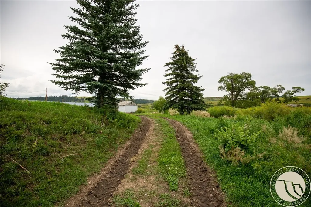 6502 Quarter Horse Lane Lewistown MT 59457