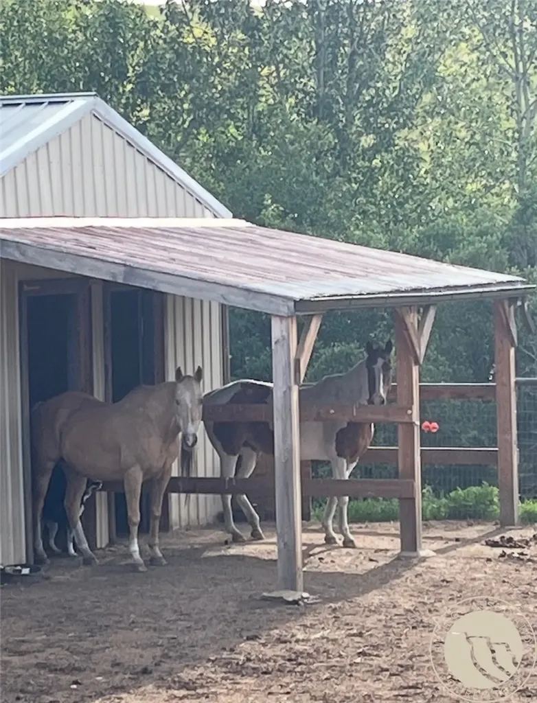 281 Taylor Hill Road Red Lodge MT 59068