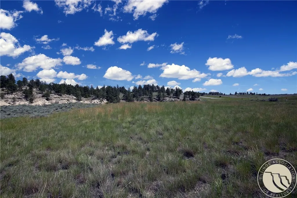 Tbd Parcel 38, Rdp Mesa Sub Phase 1 Roundup MT 59072