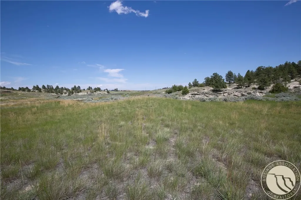 Tbd Parcel 38, Rdp Mesa Sub Phase 1 Roundup MT 59072