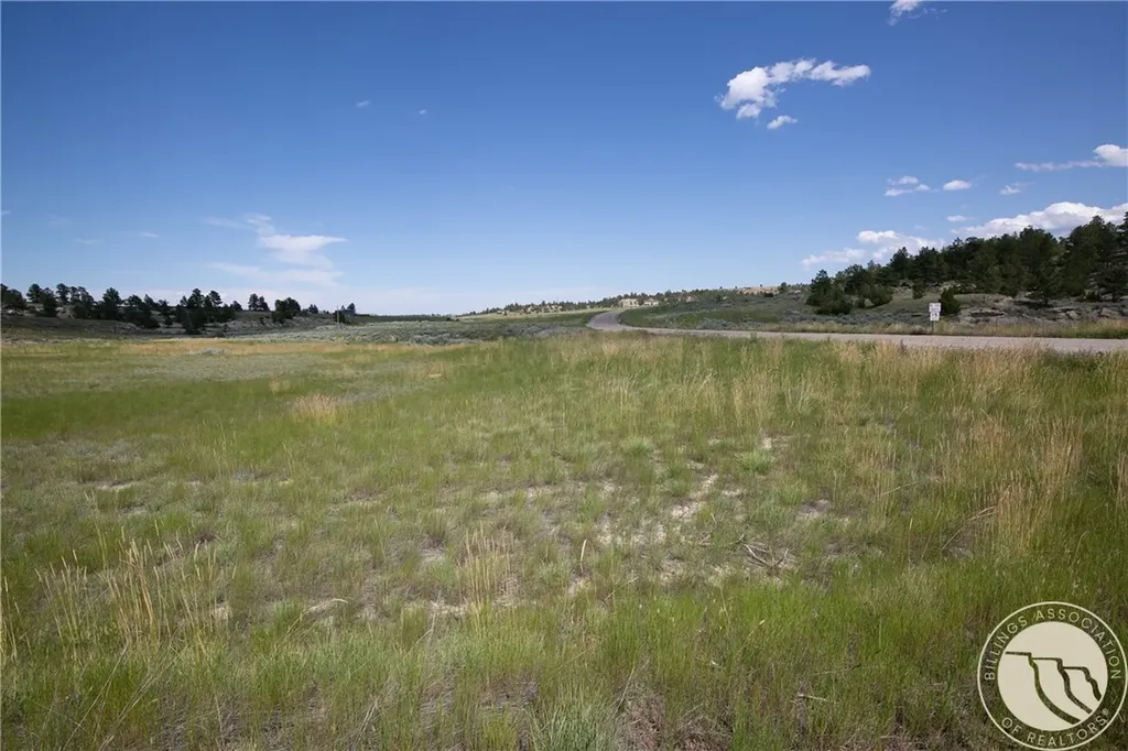 Tbd Parcel 38, Rdp Mesa Sub Phase 1 Roundup MT 59072