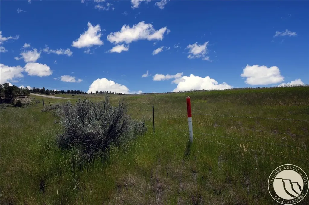Tbd Parcel 38, Rdp Mesa Sub Phase 1 Roundup MT 59072