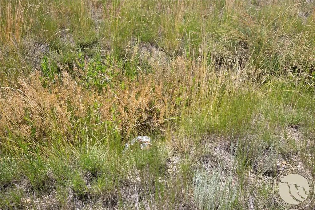 Tbd Parcel 38, Rdp Mesa Sub Phase 1 Roundup MT 59072