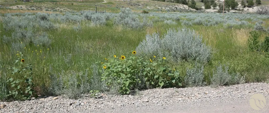 Tbd Parcel 38, Rdp Mesa Sub Phase 1 Roundup MT 59072