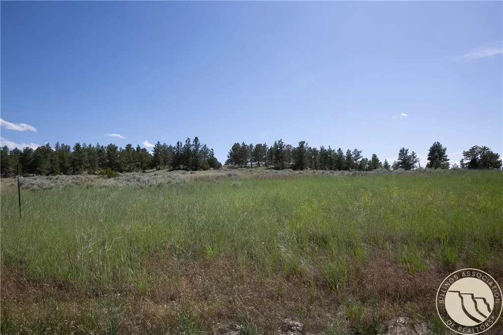 Tbd Parcel 38, Rdp Mesa Sub Phase 1 Roundup MT 59072