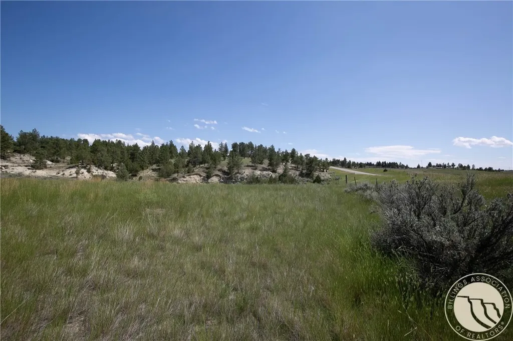 Tbd Parcel 38, Rdp Mesa Sub Phase 1 Roundup MT 59072