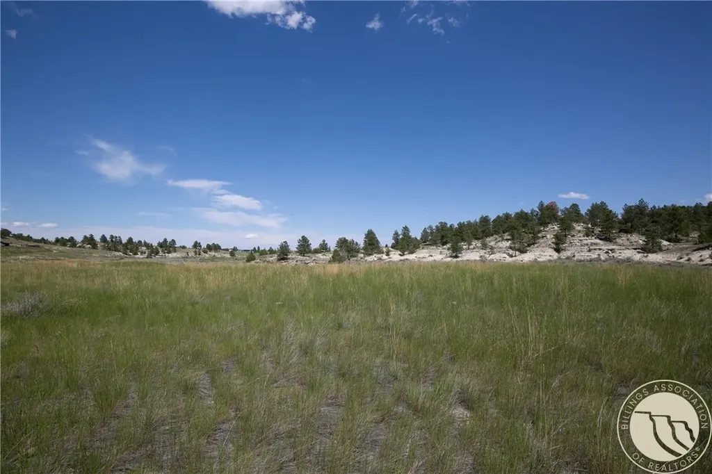 Tbd Parcel 38, Rdp Mesa Sub Phase 1 Roundup MT 59072