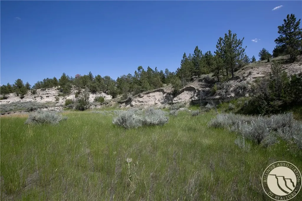 Tbd Parcel 38, Rdp Mesa Sub Phase 1 Roundup MT 59072