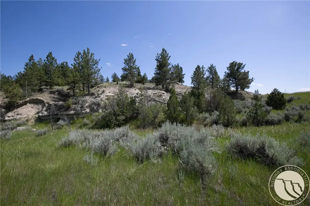 Tbd Parcel 38, Rdp Mesa Sub Phase 1 Roundup MT 59072