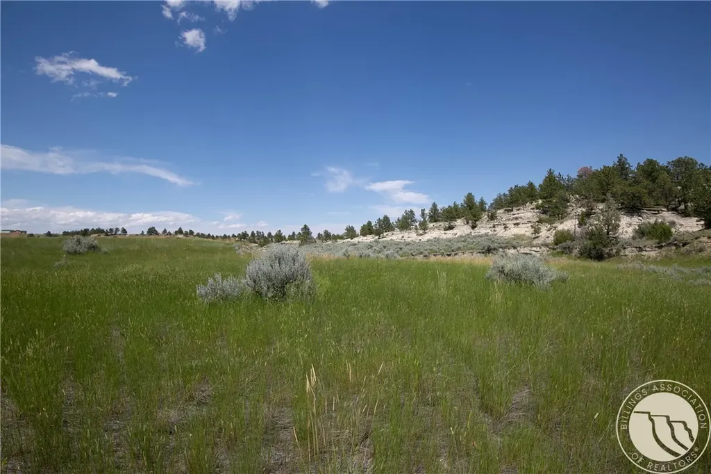Tbd Parcel 38, Rdp Mesa Sub Phase 1 Roundup MT 59072
