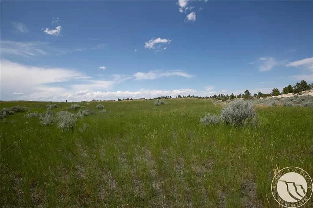 Tbd Parcel 38, Rdp Mesa Sub Phase 1 Roundup MT 59072