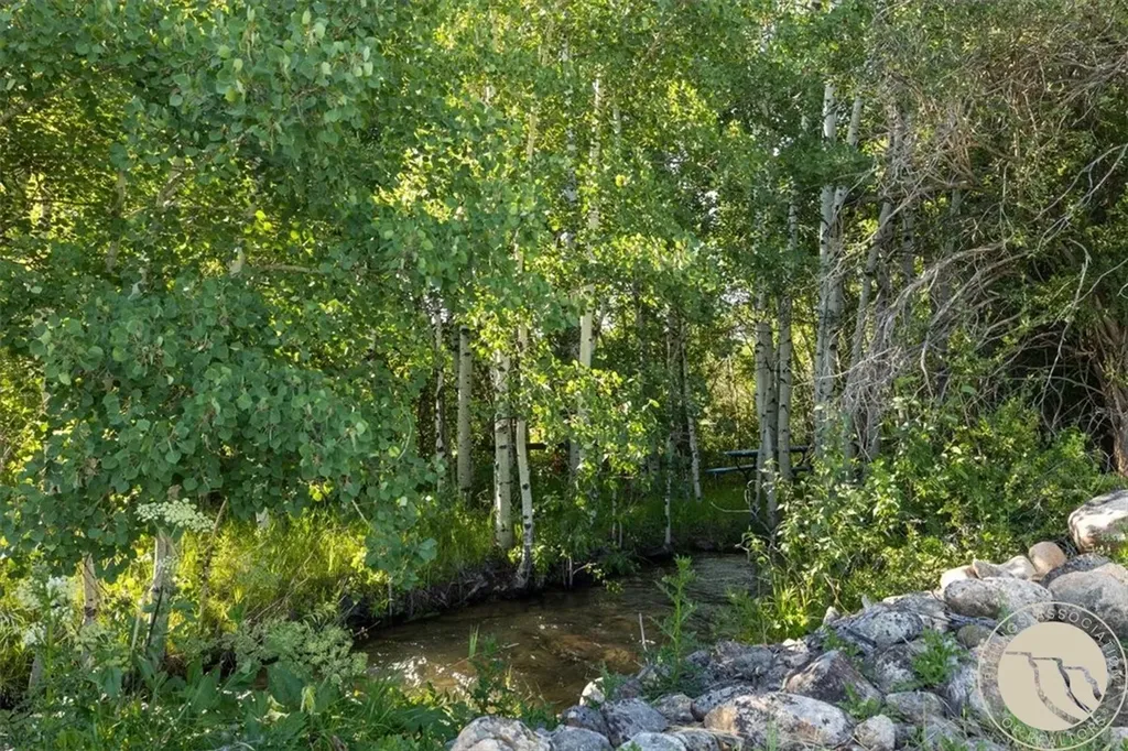 2215 Diamond C Trail Red Lodge MT 59068
