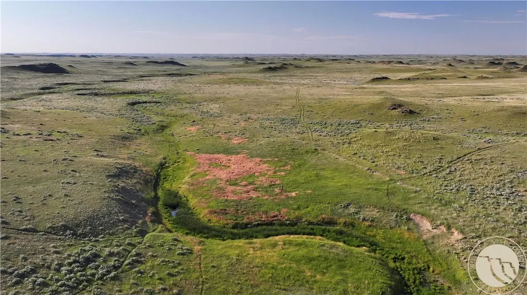 1287 W Little Dry Road Miles City MT 59322