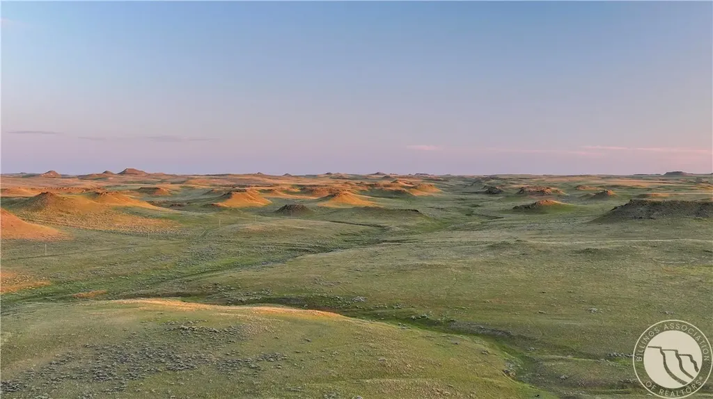 1287 W Little Dry Road Miles City MT 59322