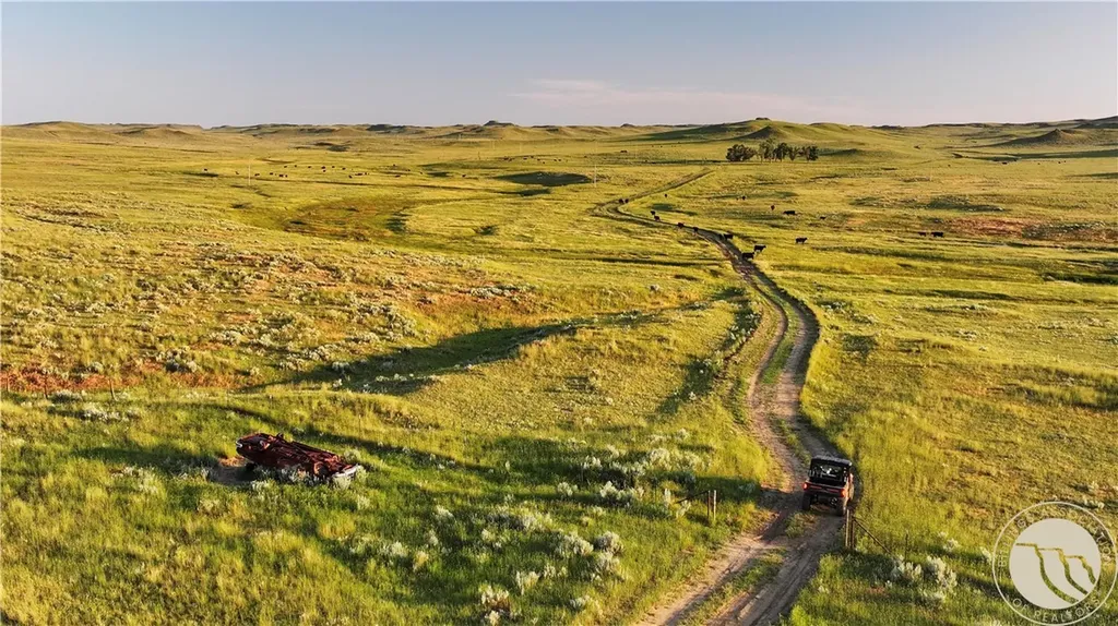 1287 W Little Dry Road Miles City MT 59322