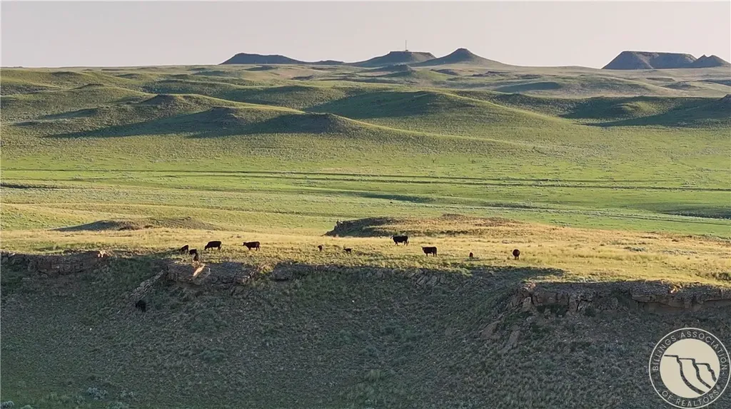1287 W Little Dry Road Miles City MT 59322