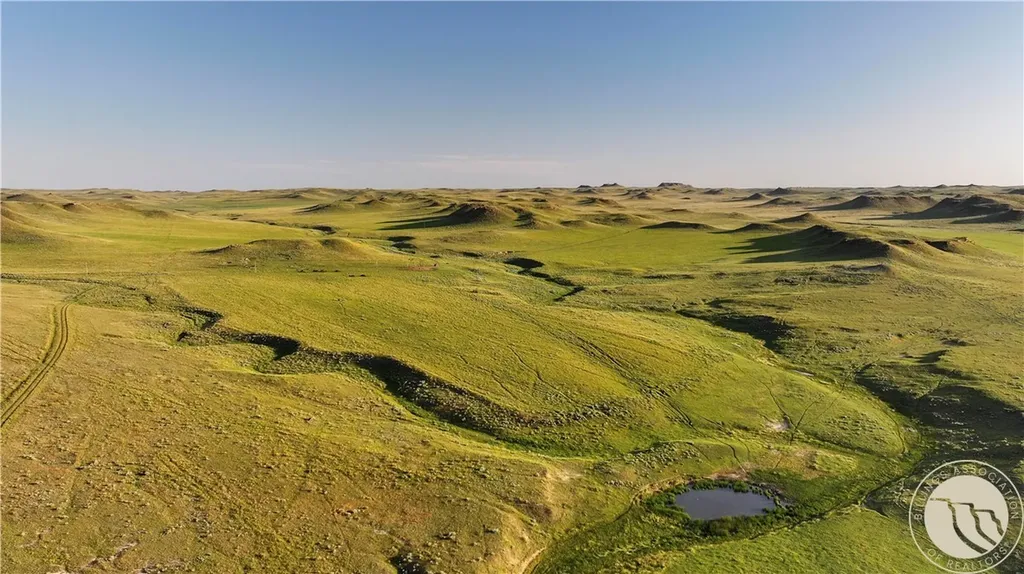 1287 W Little Dry Road Miles City MT 59322