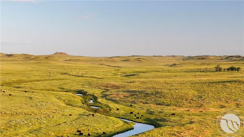 1287 W Little Dry Road Miles City MT 59322