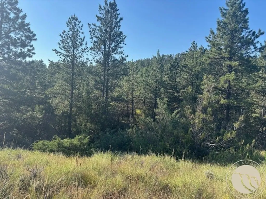 51 Haystack Coulee Road Reed Point MT 59069