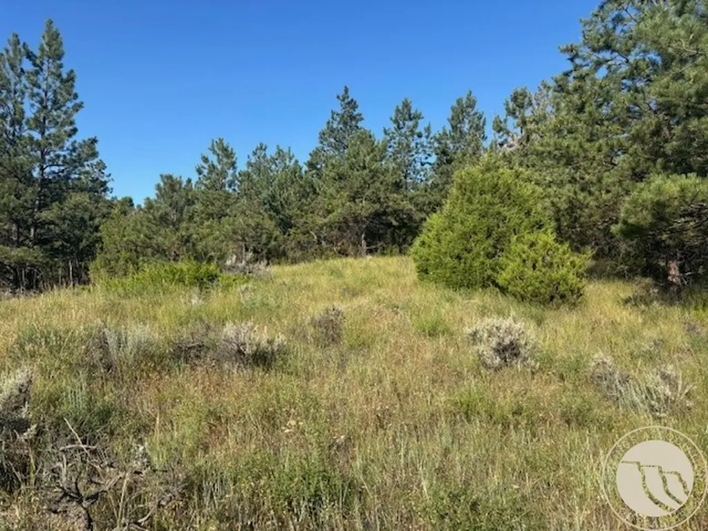 51 Haystack Coulee Road Reed Point MT 59069