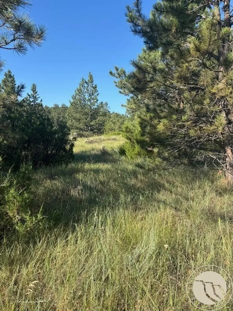 51 Haystack Coulee Road Reed Point MT 59069