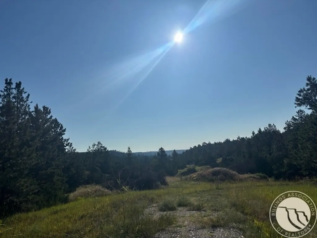 51 Haystack Coulee Road Reed Point MT 59069