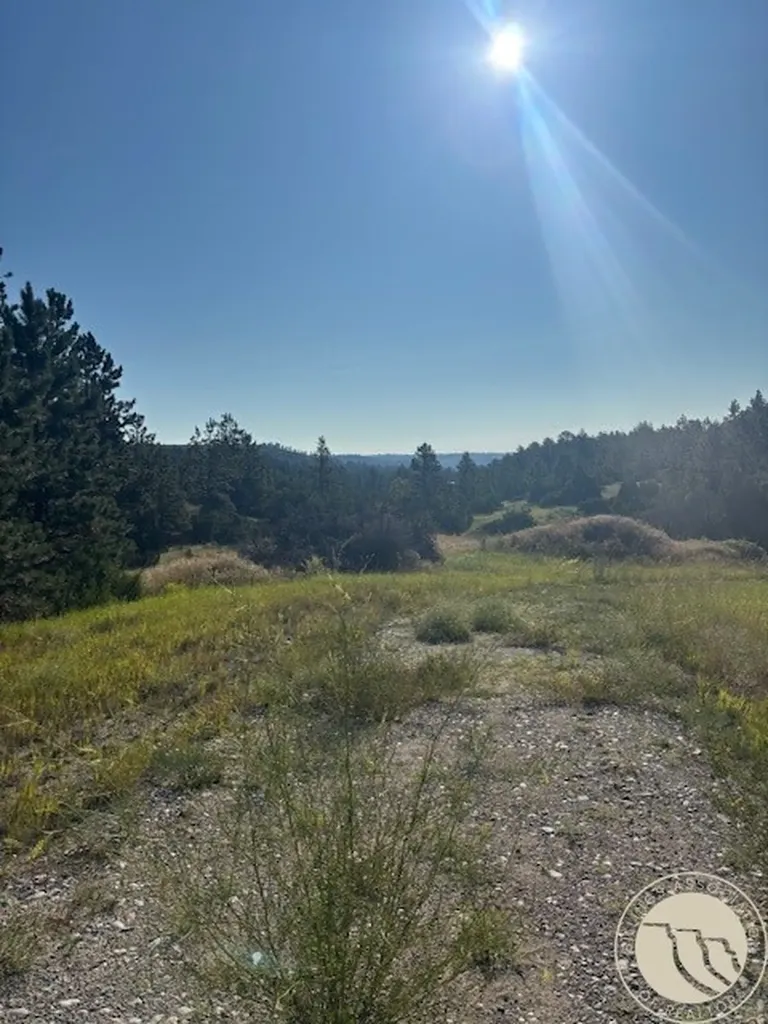 51 Haystack Coulee Road Reed Point MT 59069