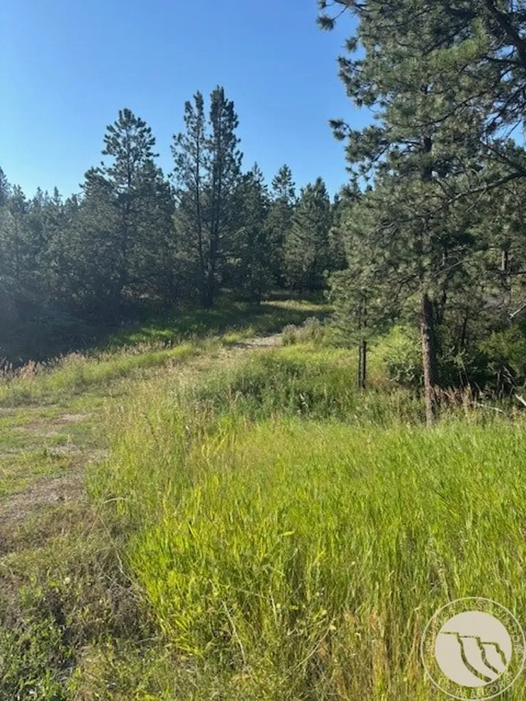 51 Haystack Coulee Road Reed Point MT 59069