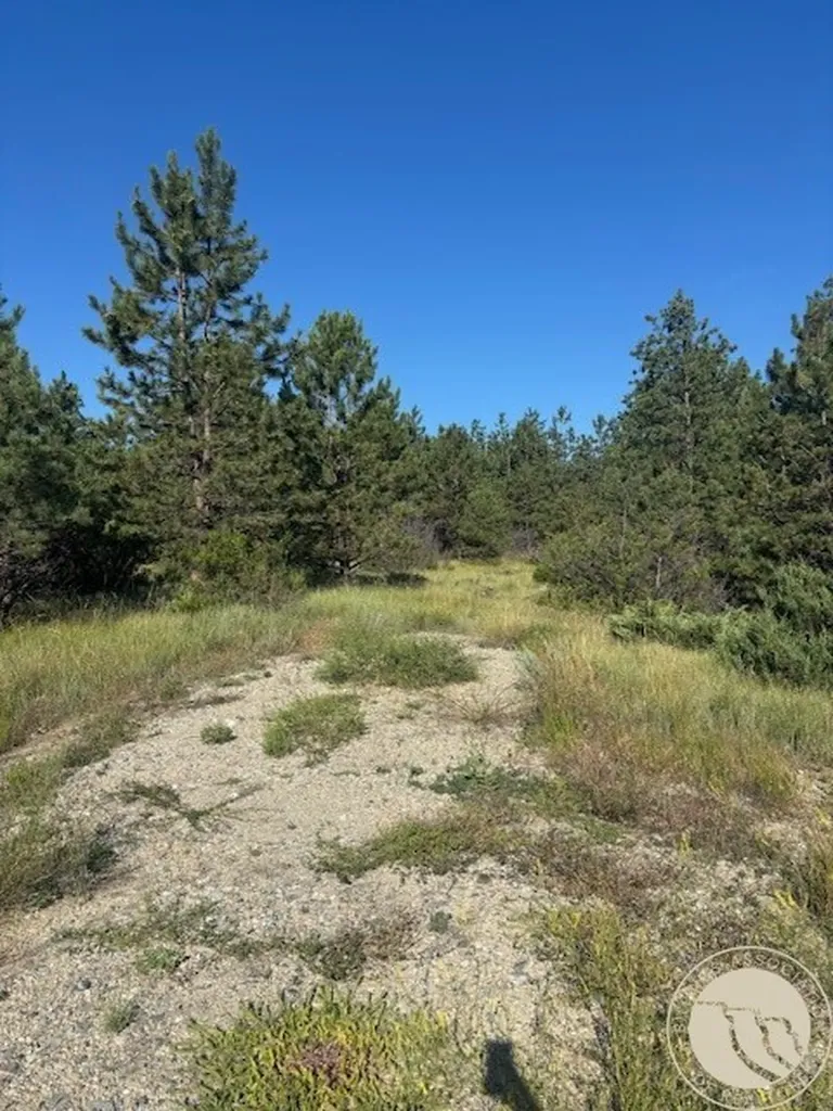 51 Haystack Coulee Road Reed Point MT 59069