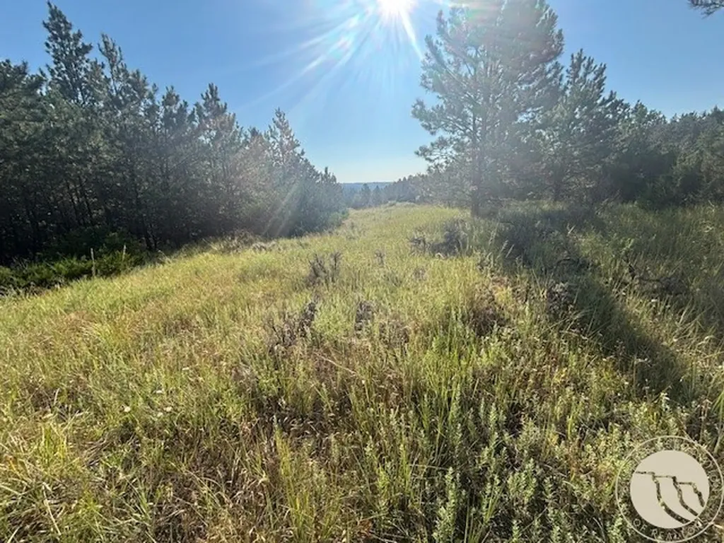 51 Haystack Coulee Road Reed Point MT 59069