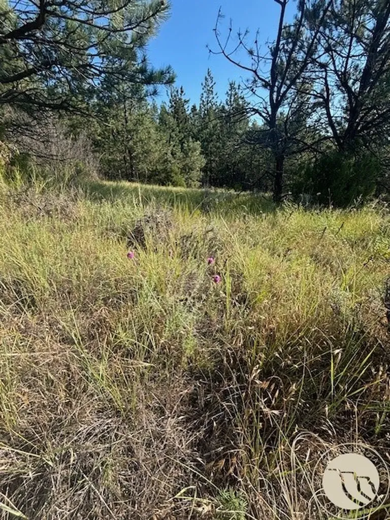51 Haystack Coulee Road Reed Point MT 59069