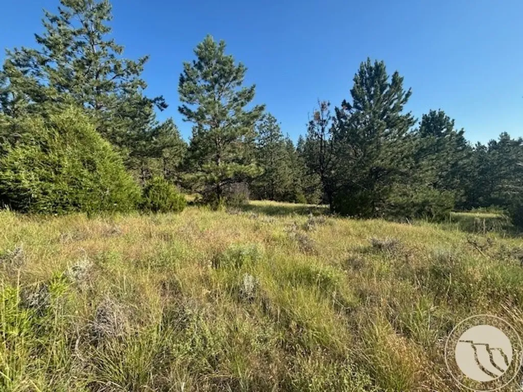 51 Haystack Coulee Road Reed Point MT 59069