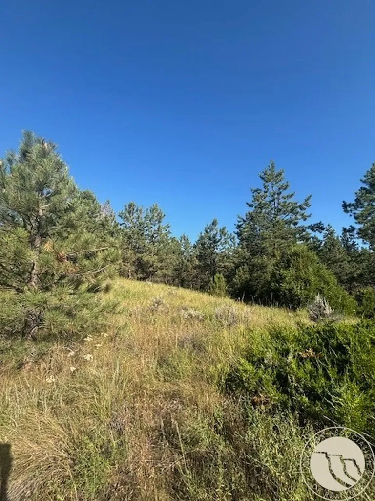 51 Haystack Coulee Road Reed Point MT 59069