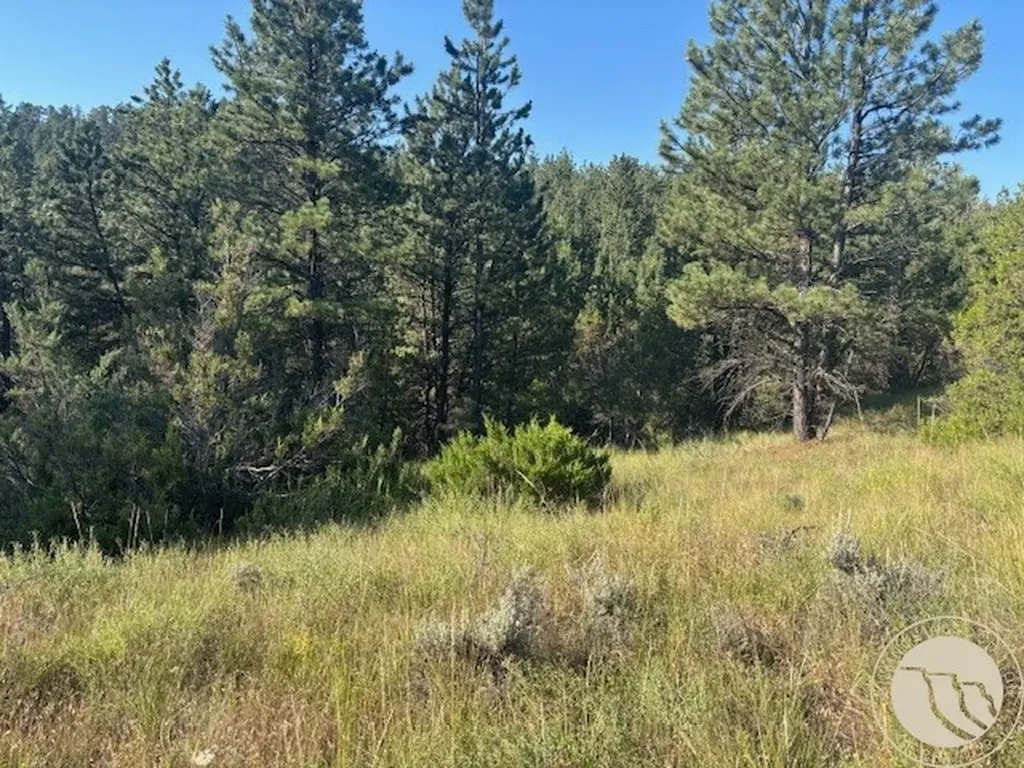 51 Haystack Coulee Road Reed Point MT 59069