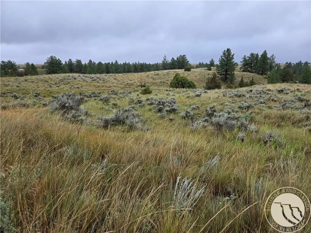 Parcel 16 Mountain View Road Molt MT 59057