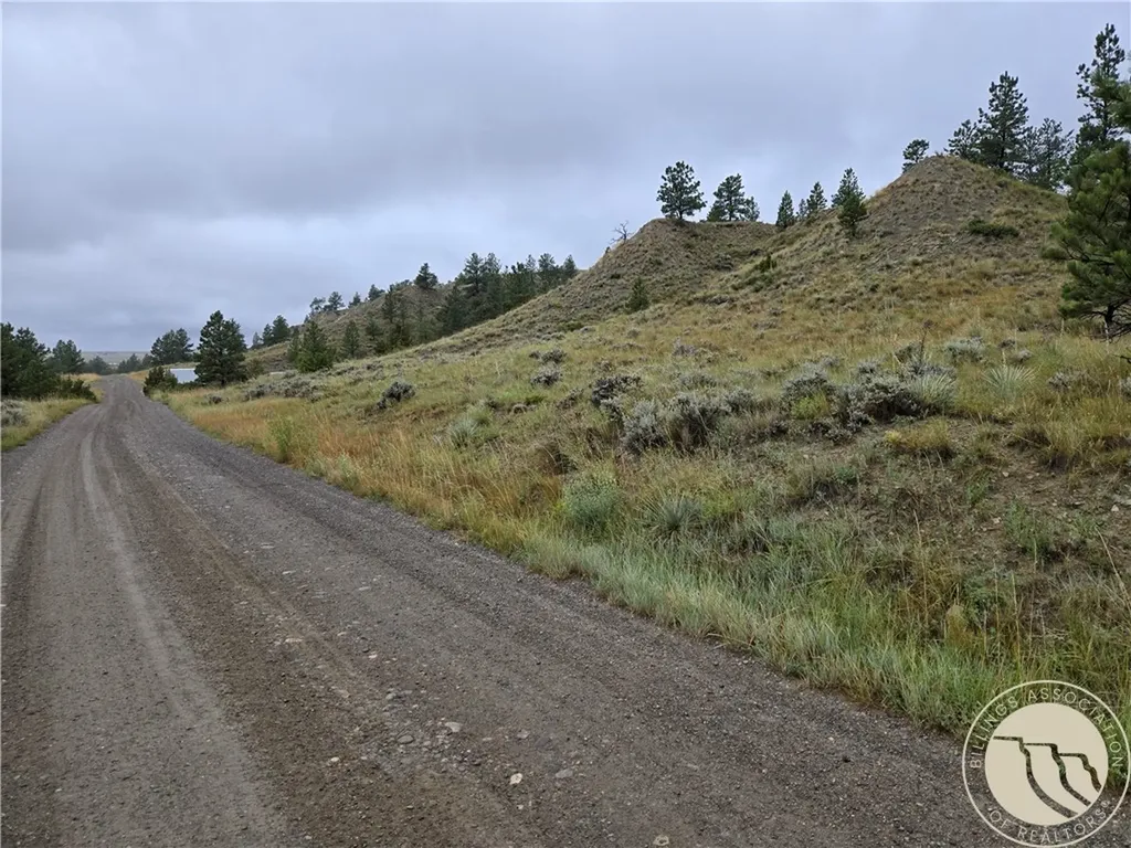 Parcel 16 Mountain View Road Molt MT 59057