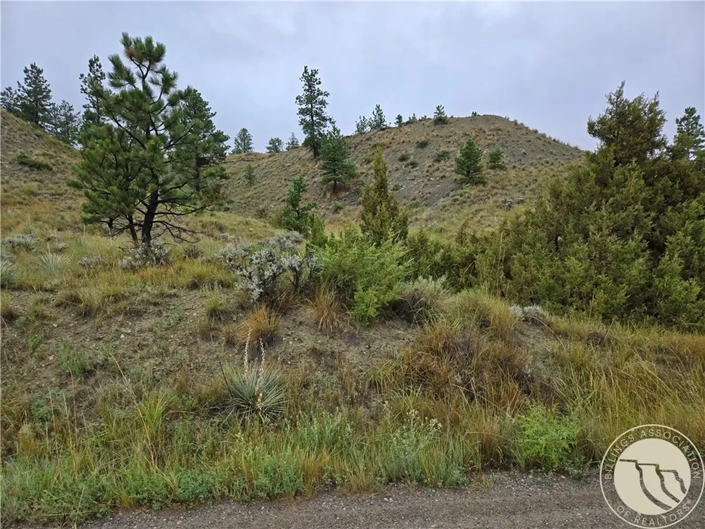 Parcel 16 Mountain View Road Molt MT 59057