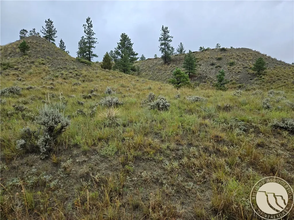 Parcel 16 Mountain View Road Molt MT 59057