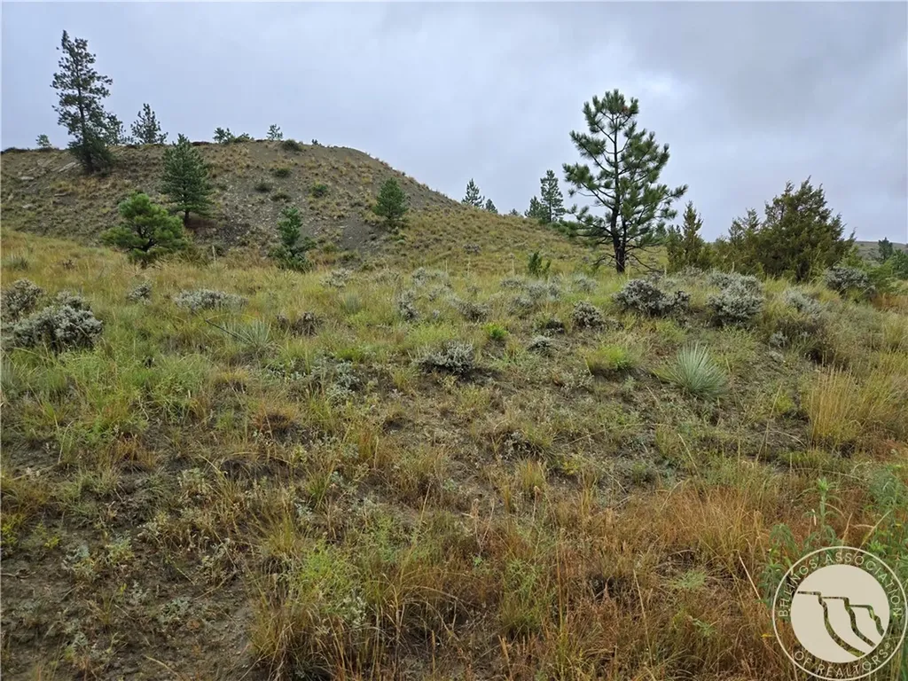 Parcel 16 Mountain View Road Molt MT 59057