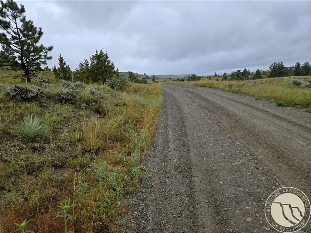 Parcel 16 Mountain View Road Molt MT 59057