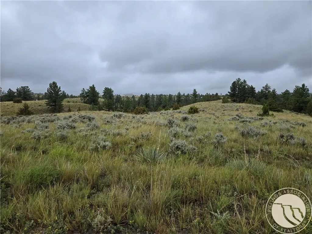 Parcel 16 Mountain View Road Molt MT 59057